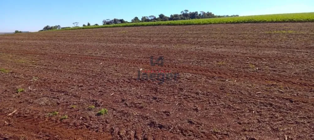 Fazenda, 13 hectares - Foto 4