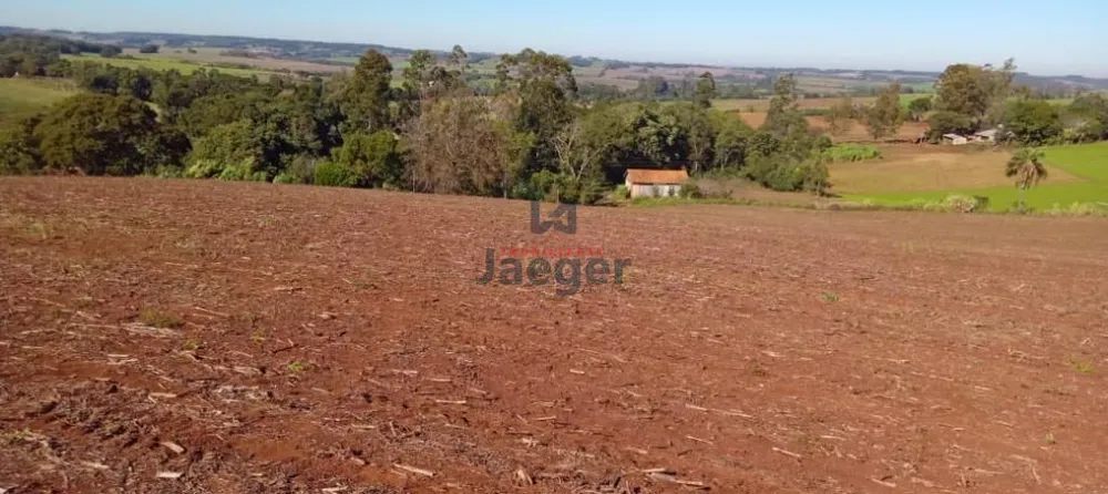 Fazenda, 13 hectares - Foto 3