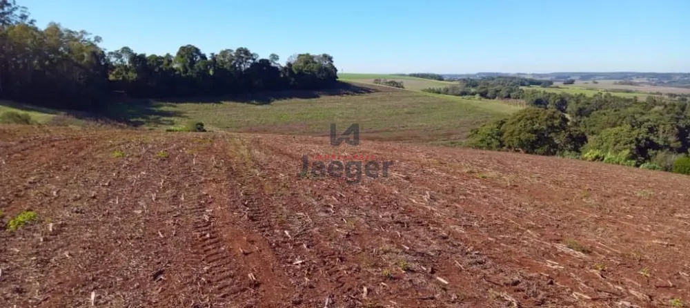 Sítio, 13 hectares - Foto 1