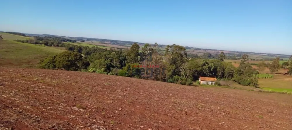 Fazenda, 13 hectares - Foto 2