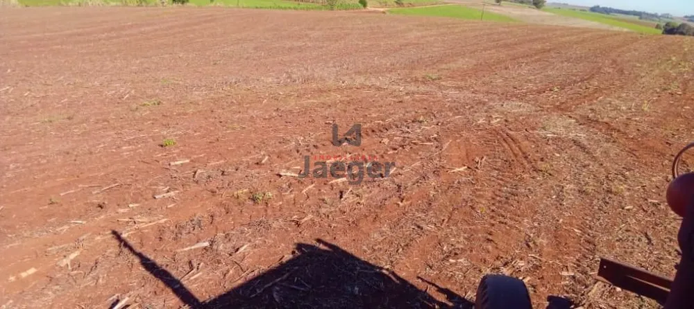 Sítio, 13 hectares - Foto 3