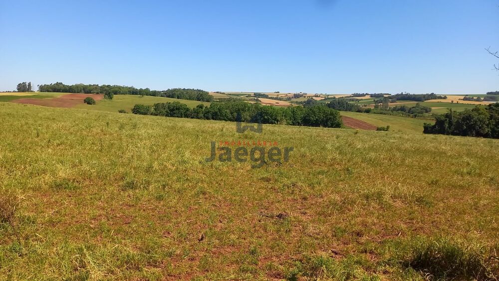 Terreno, 6 hectares - Foto 1