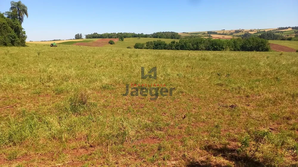 Terreno, 6 hectares - Foto 3