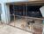 Casa, 2 quartos, 54 m² - Foto 5