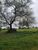 Terreno, 648 m² - Foto 4