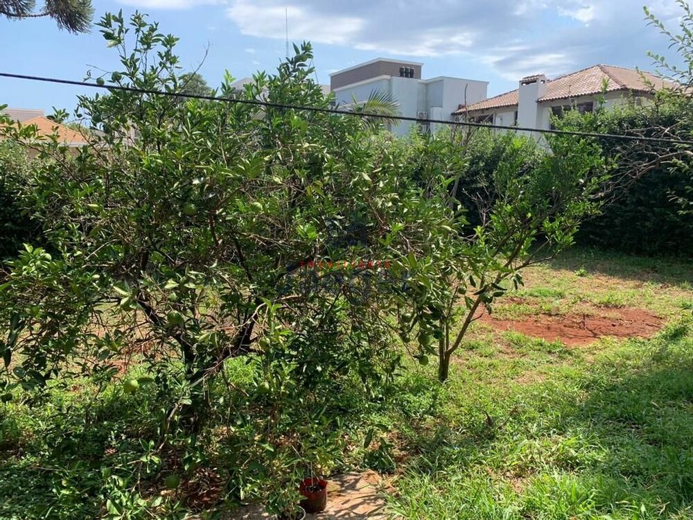 Terreno à venda com 4 quartos, 545m² - Foto 4