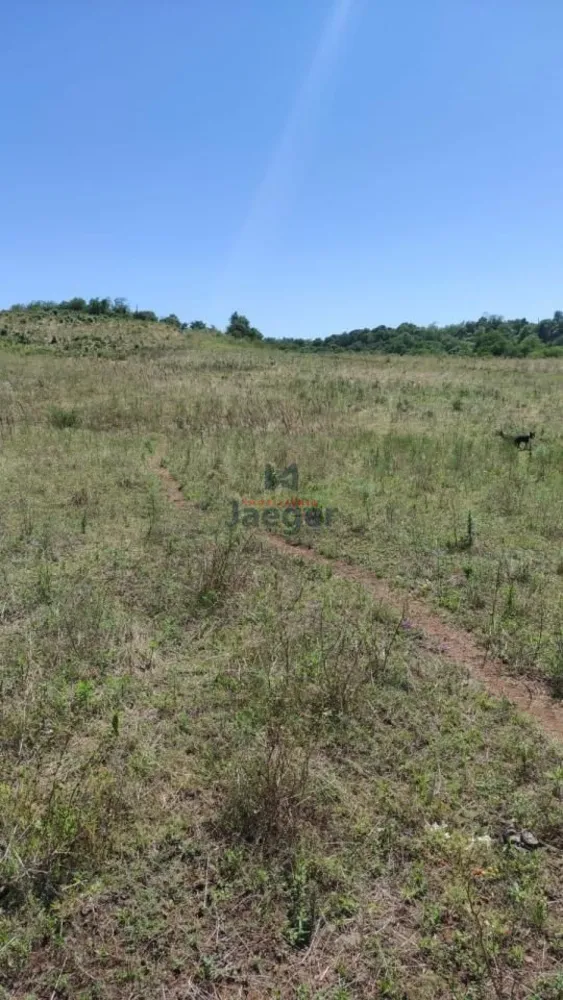 Chácara, 64 hectares - Foto 3
