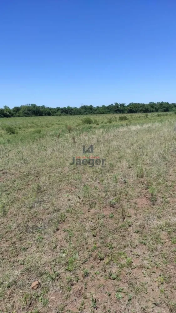 Chácara, 64 hectares - Foto 4