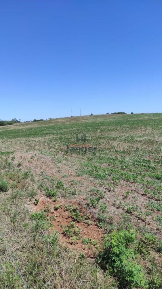 Fazenda, 64 hectares - Foto 1