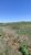 Fazenda, 64 hectares - Foto 1
