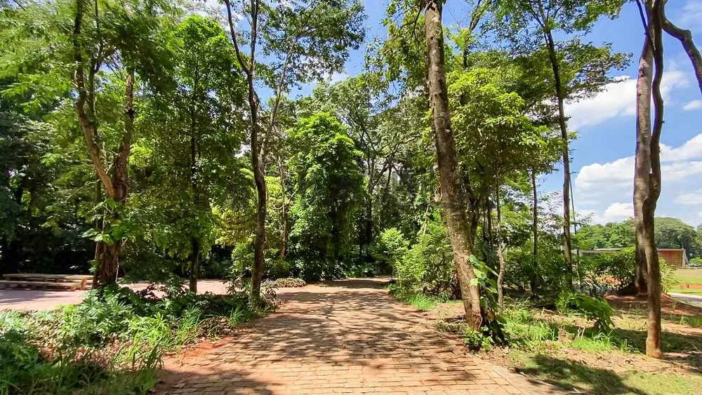 Terreno, 300 m² - Foto 4