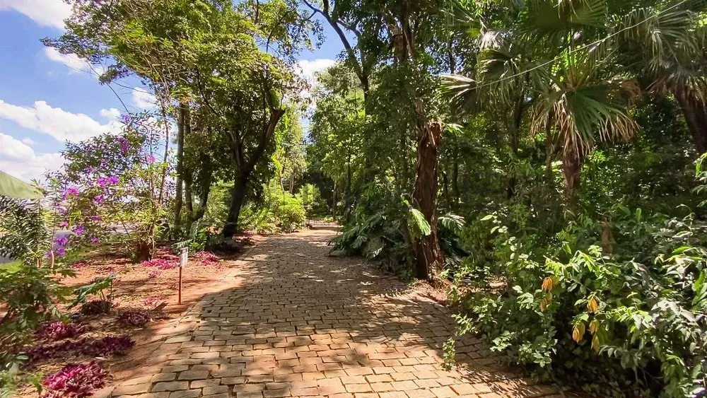 Terreno, 300 m² - Foto 2
