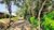Terreno, 330 m² - Foto 4
