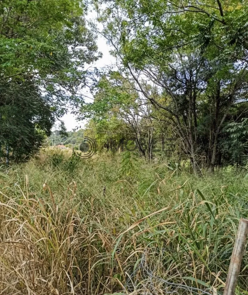 Terreno, 1000 m² - Foto 6