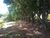 Terreno, 689 m² - Foto 3