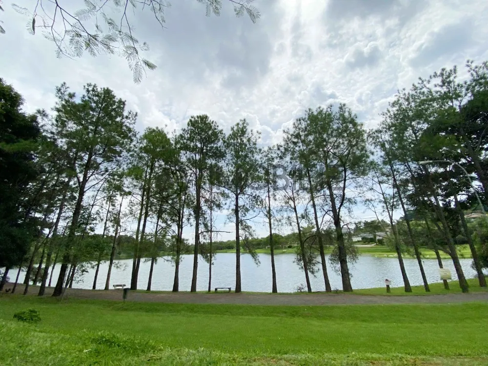 Terreno, 3000 m² - Foto 5