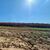 Terreno, 300 m² - Foto 3