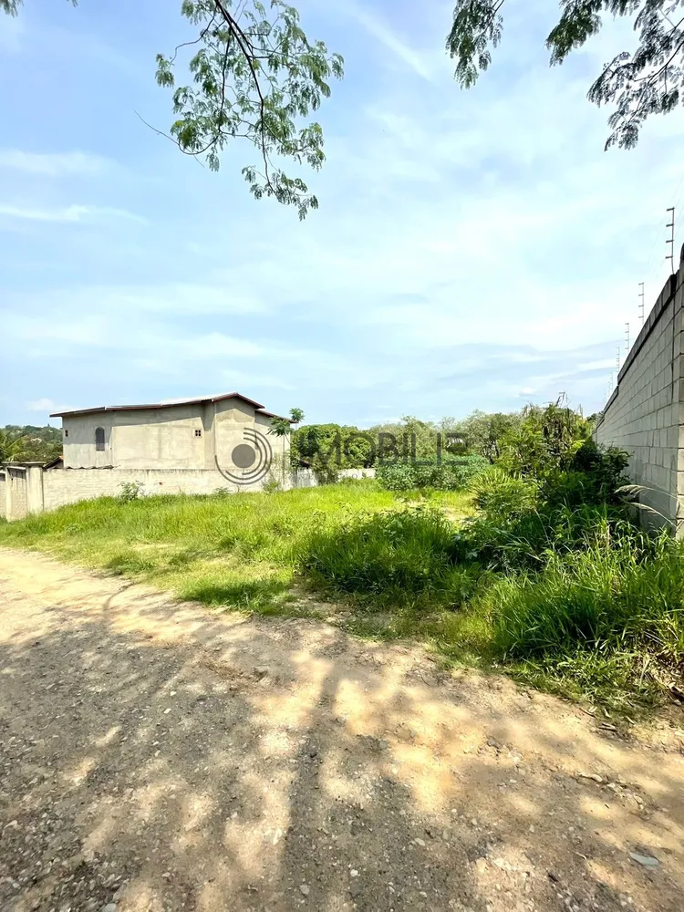 Terreno, 1000 m² - Foto 5