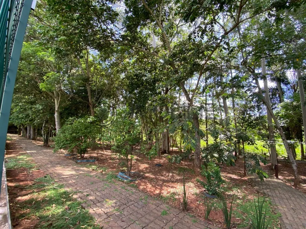 Terreno, 300 m² - Foto 7