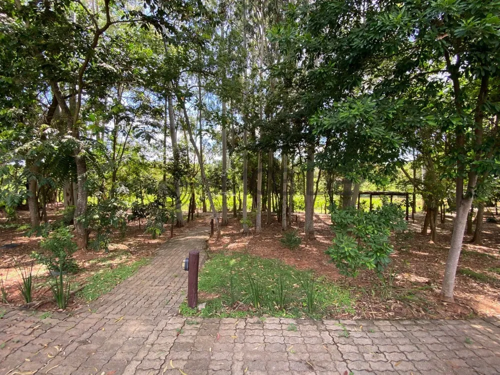 Terreno, 300 m² - Foto 5
