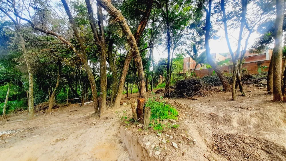 Terreno, 1012 m² - Foto 14