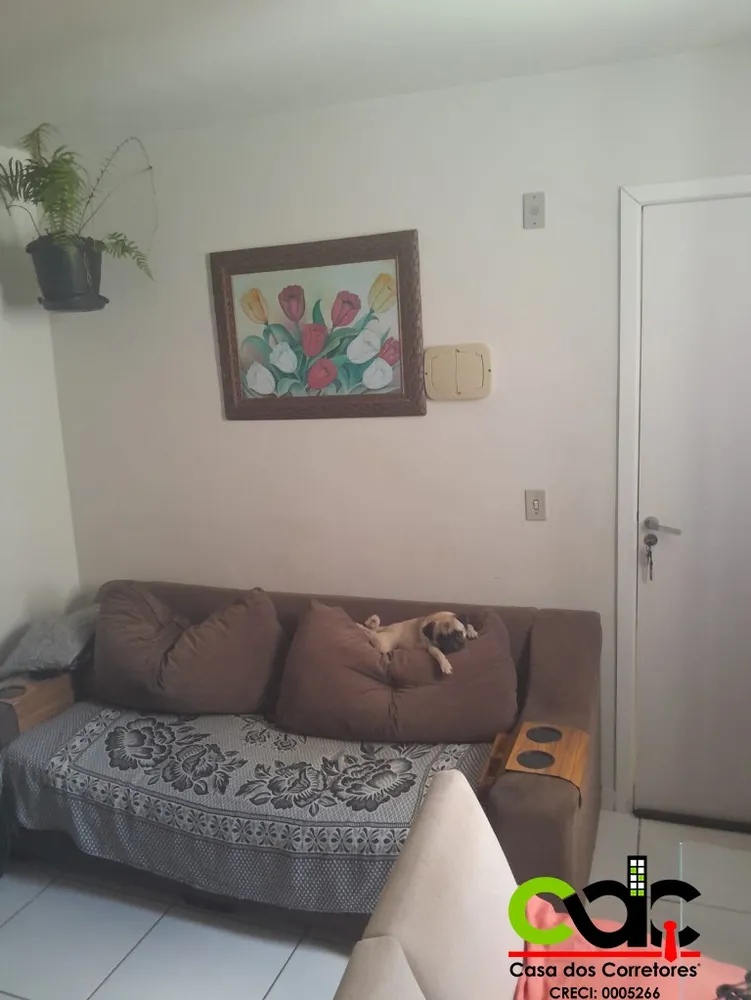 Apartamento, 2 quartos - Foto 6