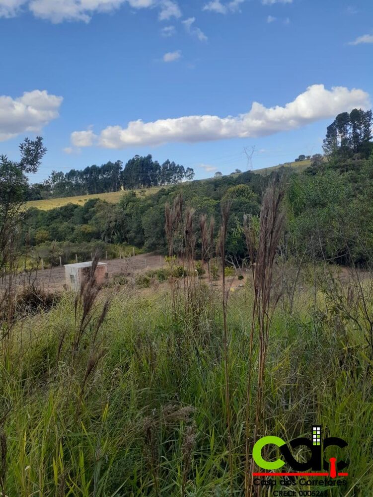 Chácara, 3000 m² - Foto 4