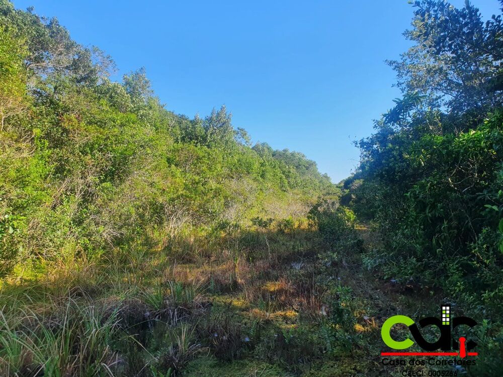 Terreno, 250 m² - Foto 4