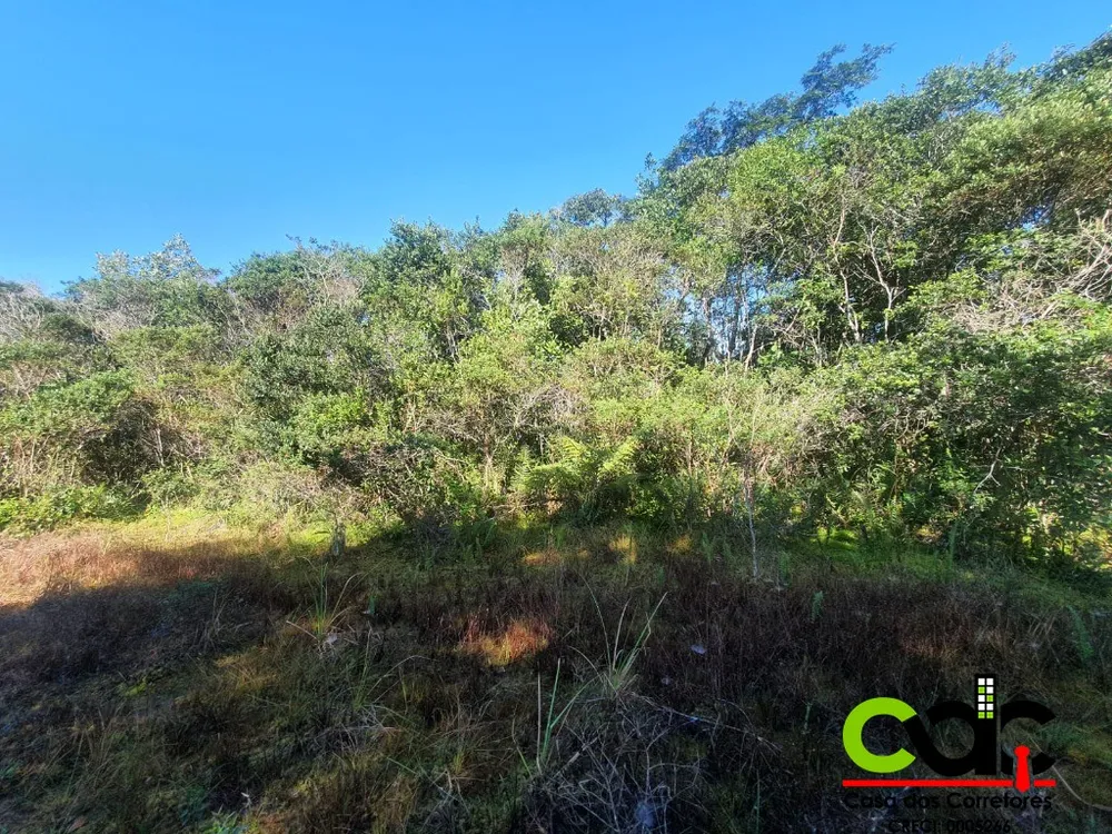 Terreno, 250 m² - Foto 9
