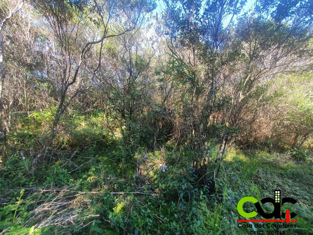 Terreno, 250 m² - Foto 4