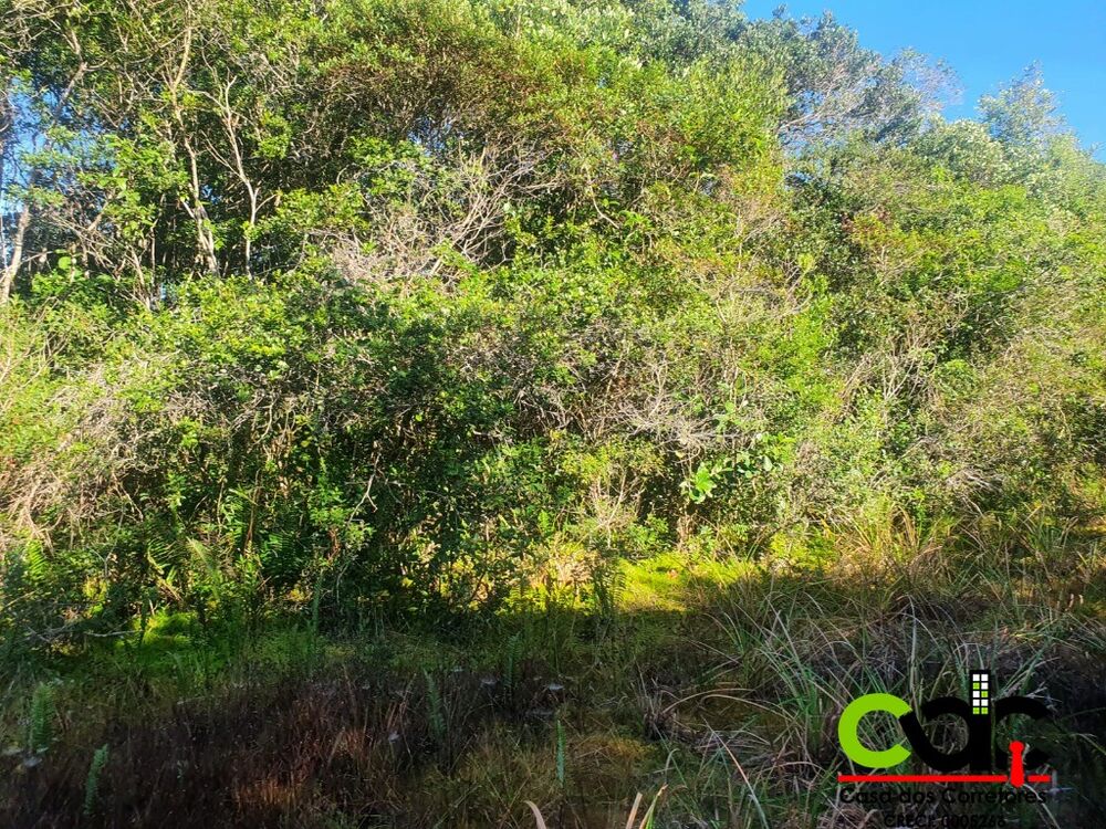 Terreno, 250 m² - Foto 1