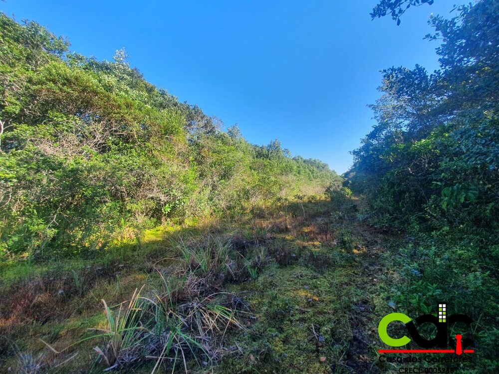 Terreno, 250 m² - Foto 2