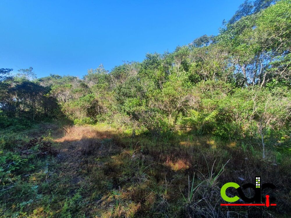Terreno, 250 m² - Foto 3