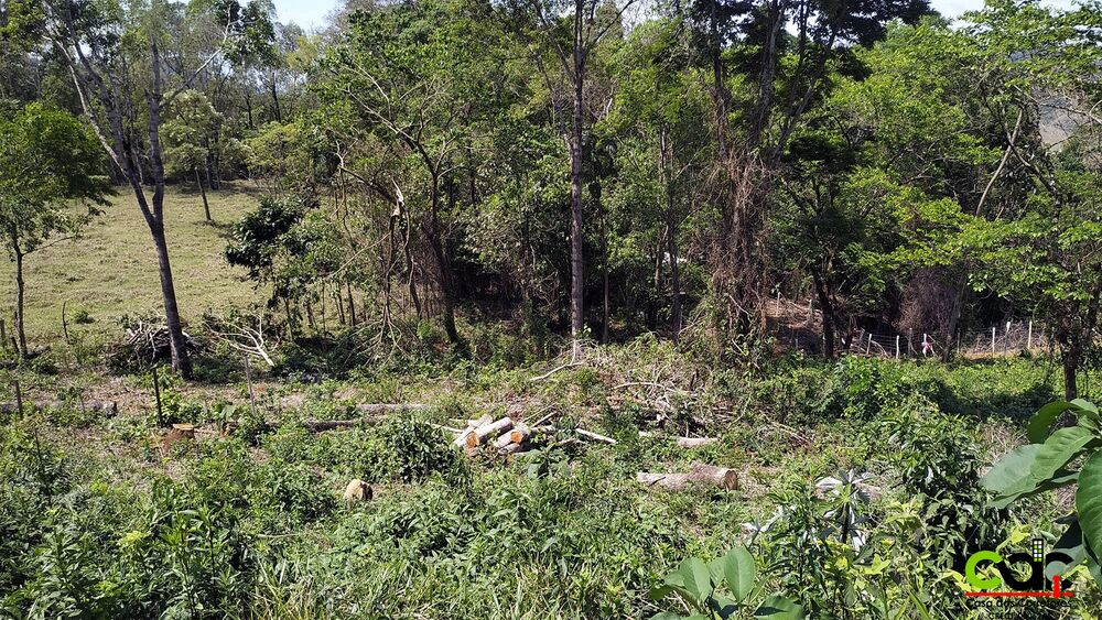 Chácara, 500 m² - Foto 2