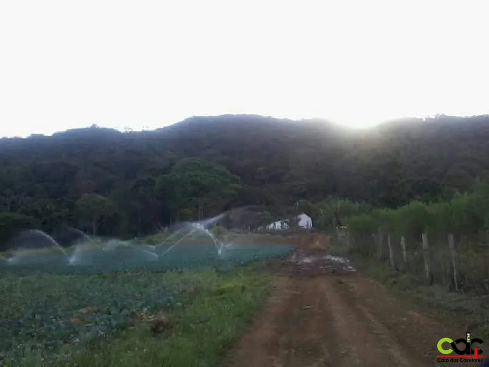 Fazenda, 44 m² - Foto 4
