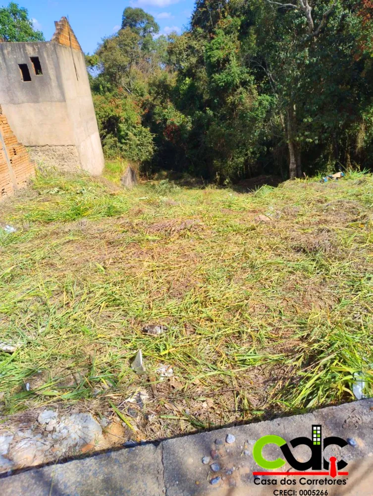 Terreno, 259 m² - Foto 4