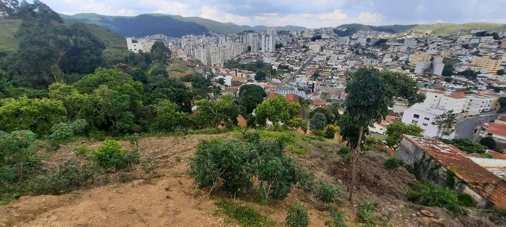Terreno, 5517 m² - Foto 9