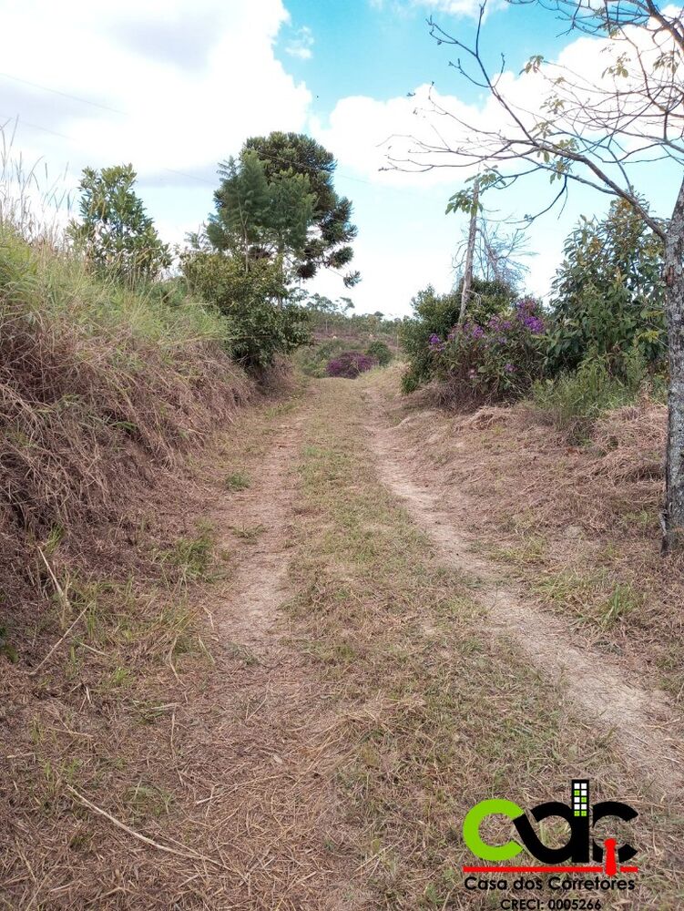 Sítio, 3 quartos, 11 m² - Foto 1