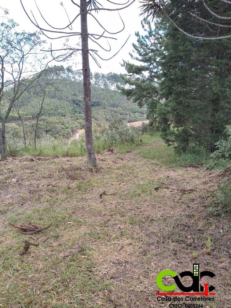 Sítio, 3 quartos, 11 m² - Foto 2