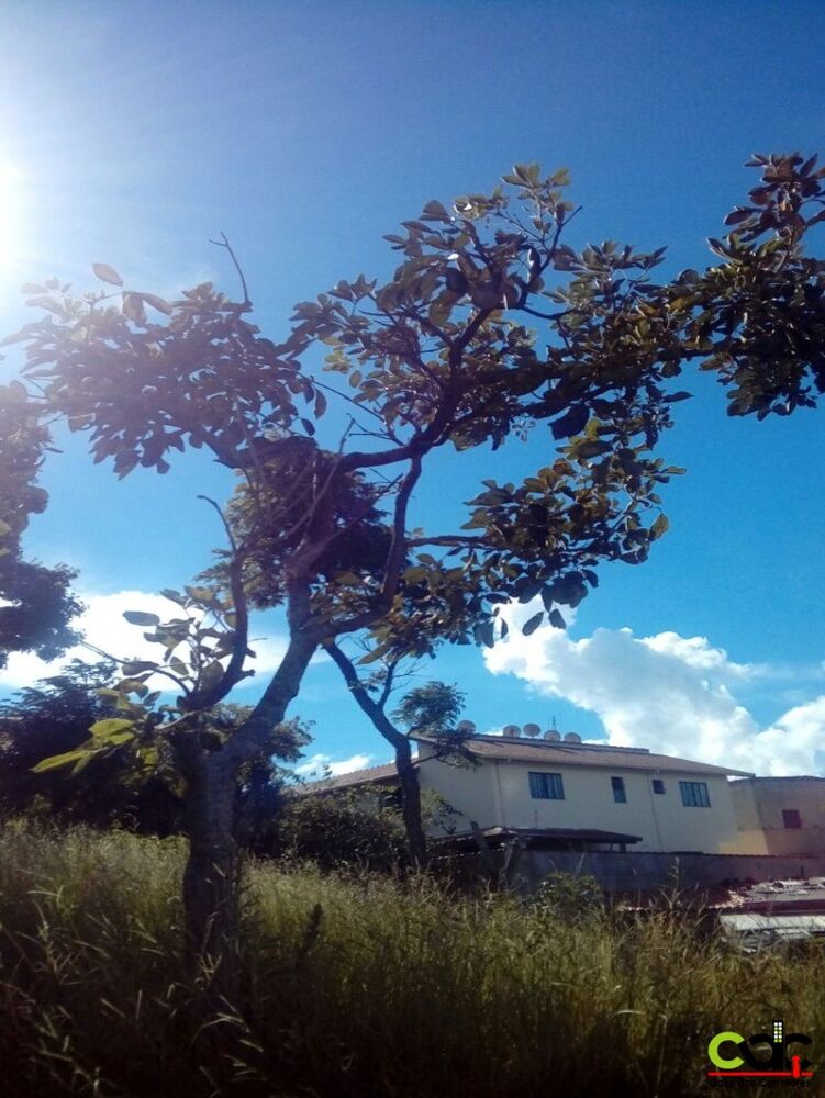 Terreno à venda, 700m² - Foto 5