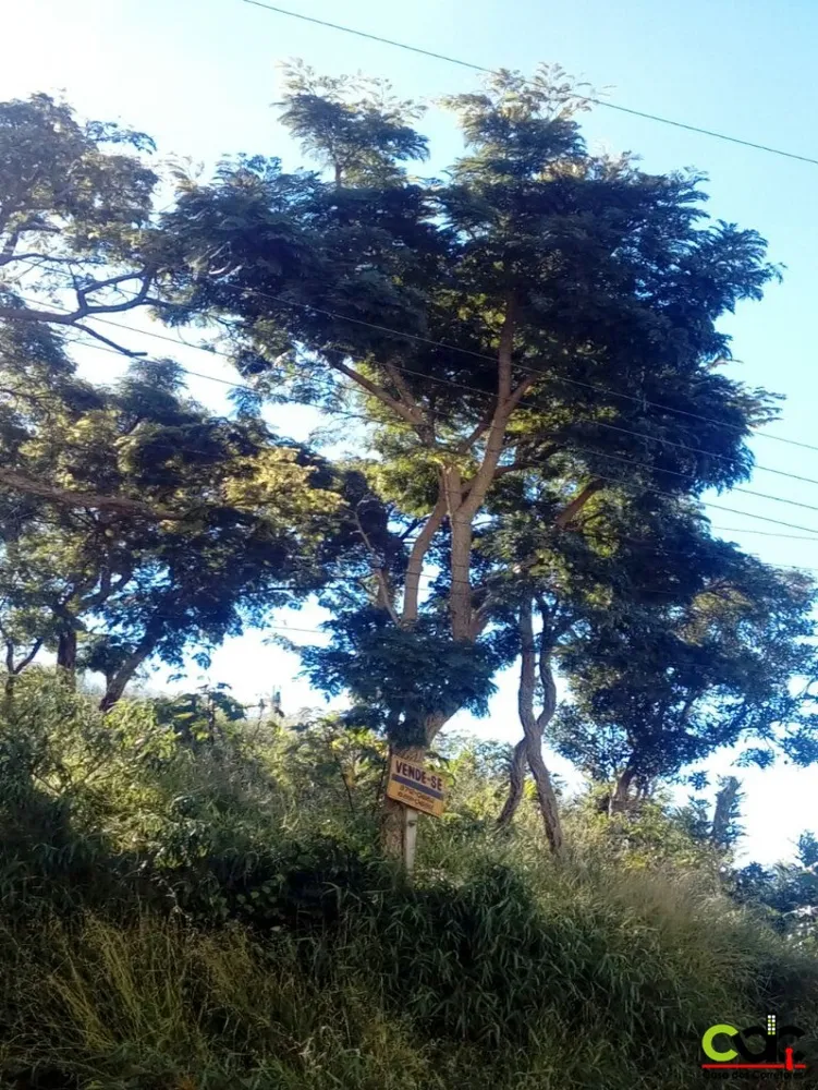 Terreno, 700 m² - Foto 5