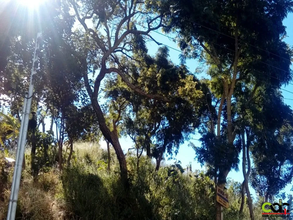 Terreno, 700 m² - Foto 11