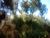 Terreno, 700 m² - Foto 8