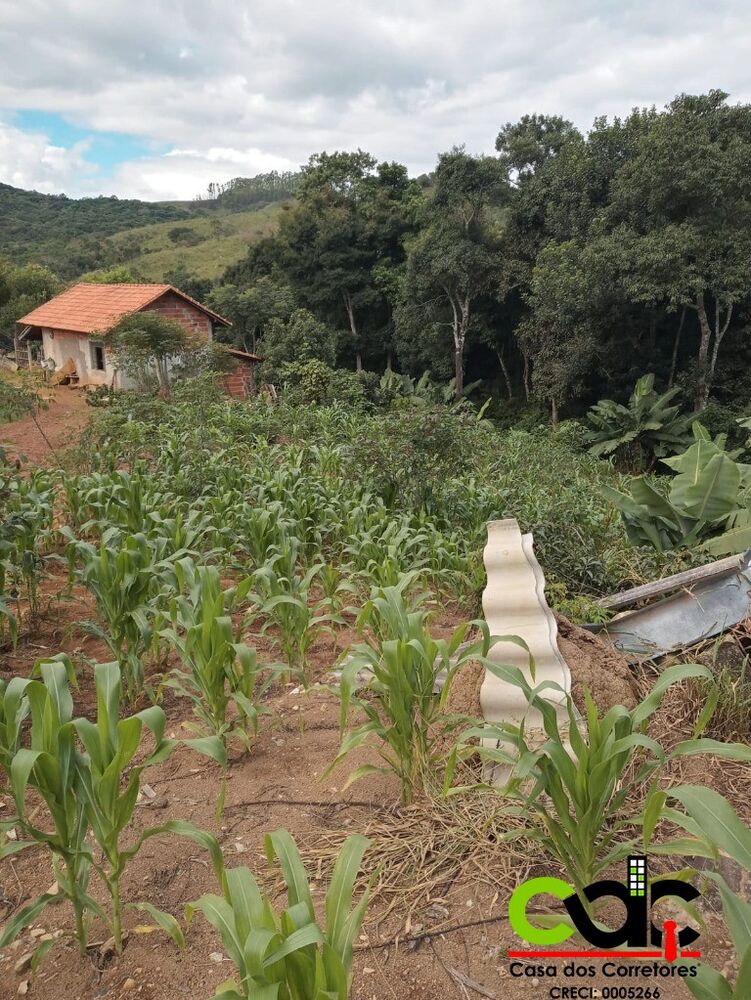 Sítio, 1 m² - Foto 1