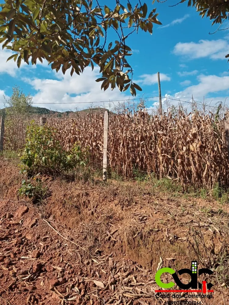 Sítio, 1 m² - Foto 8