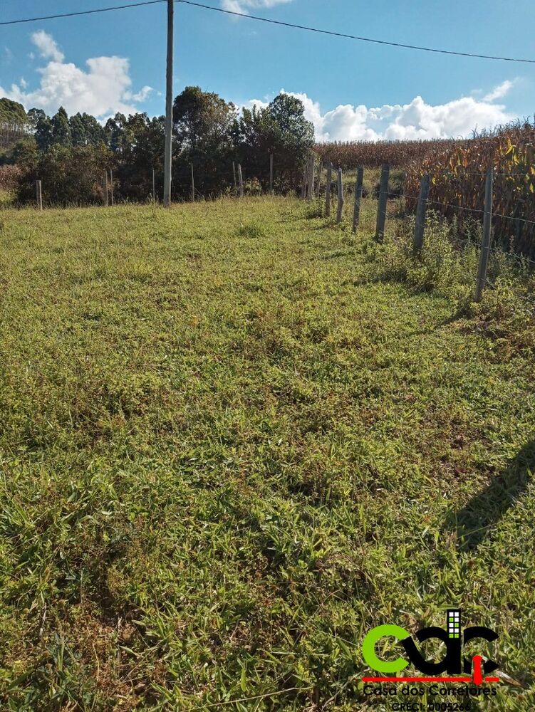 Sítio, 1 m² - Foto 4