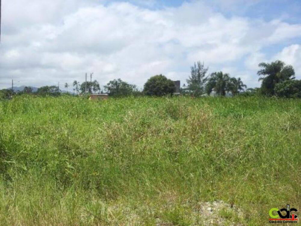 Terreno, 250 m² - Foto 2