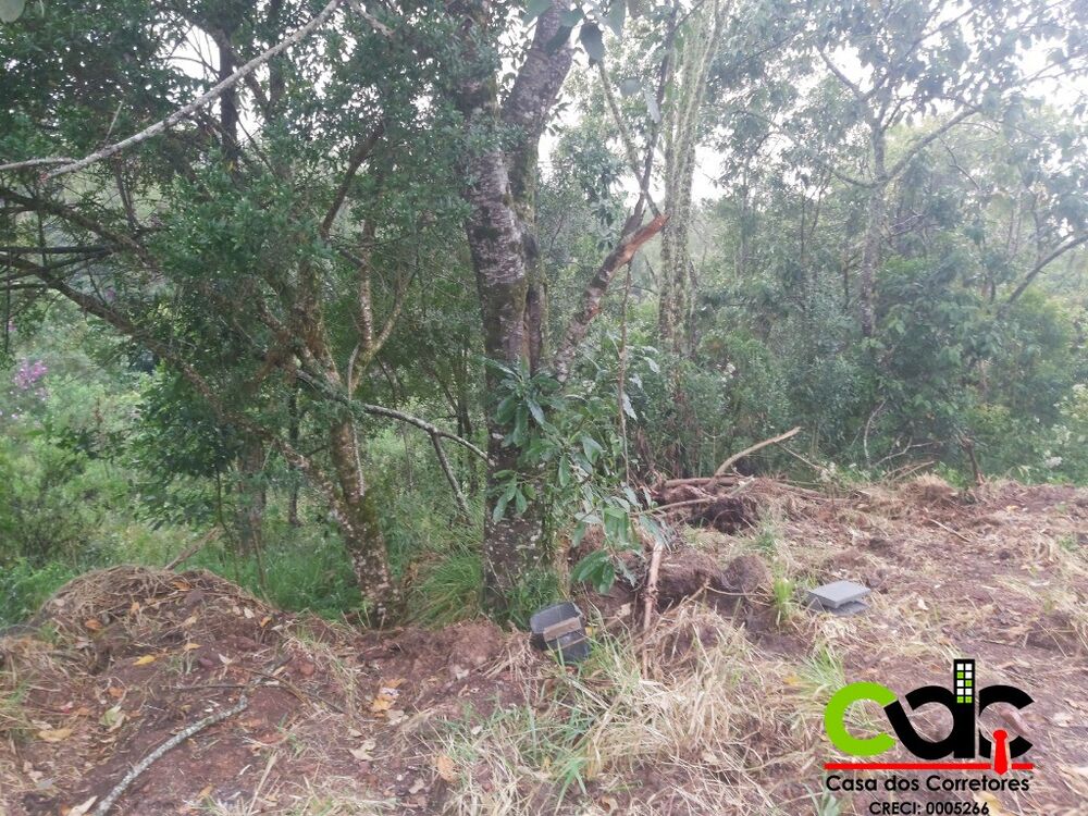 Chácara, 1500 m² - Foto 2