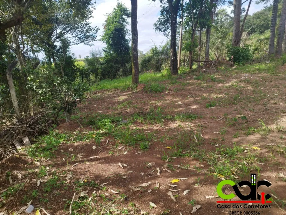 Chácara, 3 quartos, 1500 m² - Foto 7