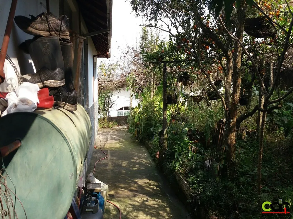 Casa, 4 quartos, 300 m² - Foto 10